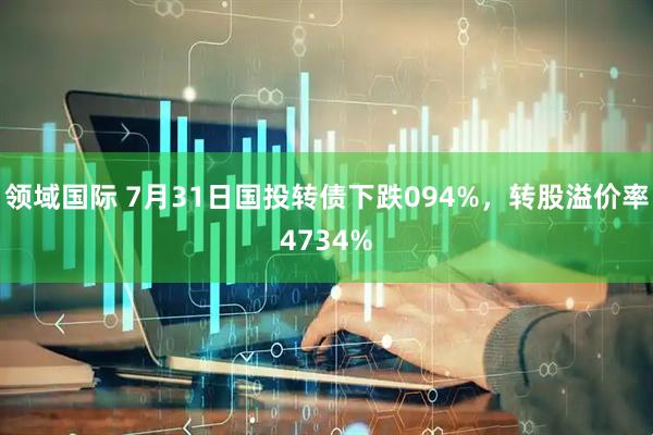 领域国际 7月31日国投转债下跌094%，转股溢价率4734%