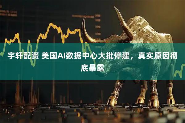 宇轩配资 美国AI数据中心大批停建，真实原因彻底暴露