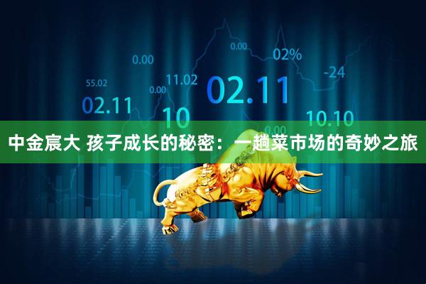 中金宸大 孩子成长的秘密：一趟菜市场的奇妙之旅