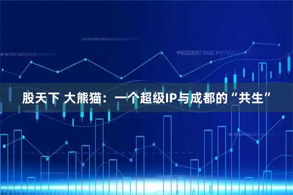 股天下 大熊猫：一个超级IP与成都的“共生”